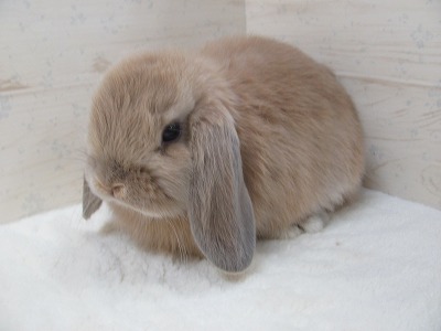 ファイル 3bd.jpg