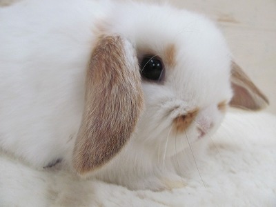 ファイル 3bk-2.jpg