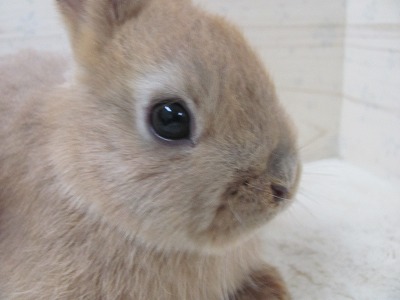 ファイル 4m-2.jpg