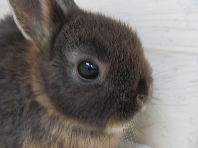 ファイル 55m-2.jpg