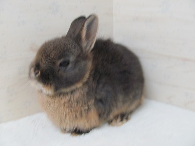 ファイル 55m.jpg