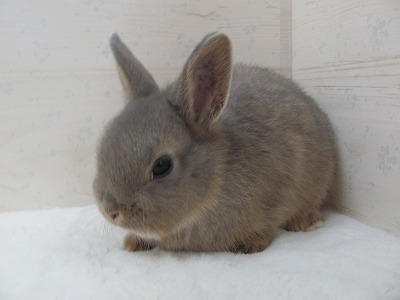 ファイル 55x.jpg