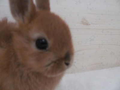 ファイル 59a-2.jpg