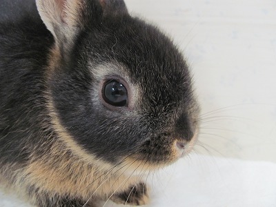 ファイル 5q-2.jpg