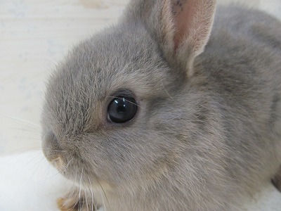 ファイル 6p-2.jpg