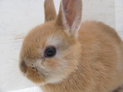 ファイル 7s-2.jpg