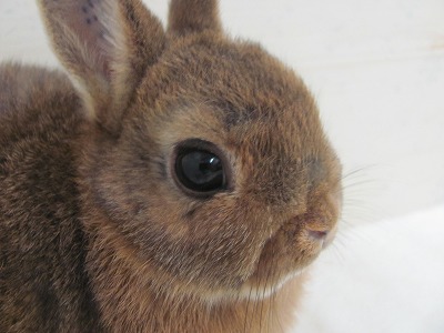 ファイル 7y-2.jpg