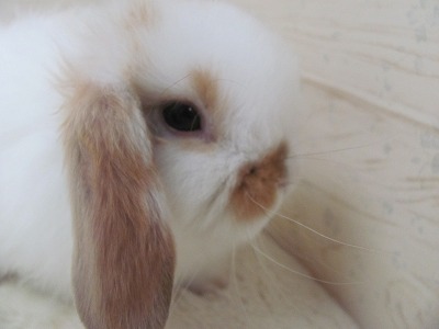 ファイル b12-2.jpg