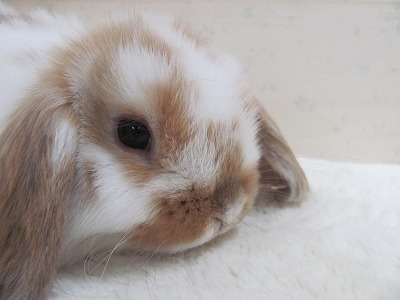 ファイル b24-2.jpg