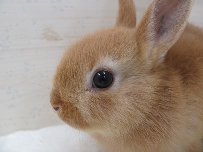 ファイル b5-2.jpg