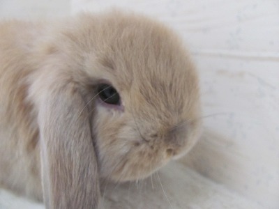 ファイル c22-2.jpg