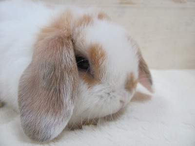 ファイル d20-2.jpg