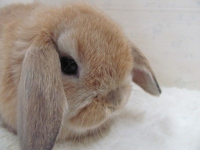 ファイル d7y-2.jpg