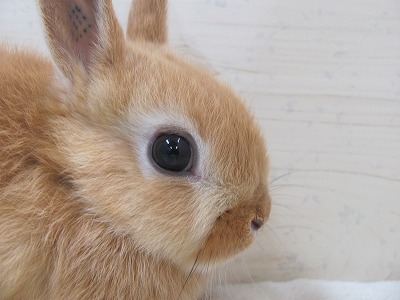 ファイル d8-2.jpg