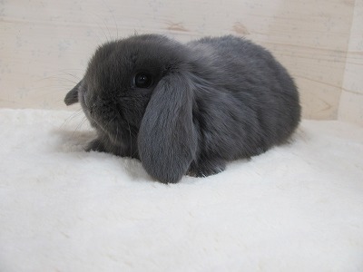 ファイル d8e.jpg