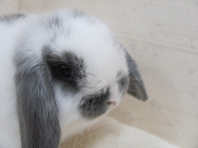 ファイル i04-2.jpg