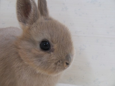 ファイル ip-2.jpg