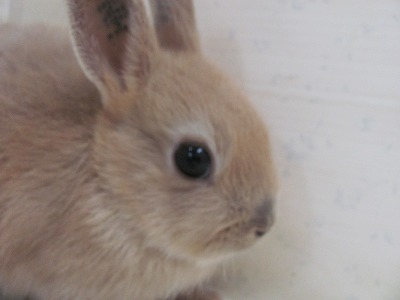 ファイル je-2.jpg