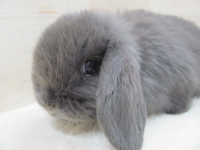 ファイル v32.jpg