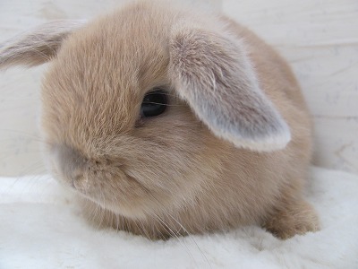 ファイル w13-2.jpg