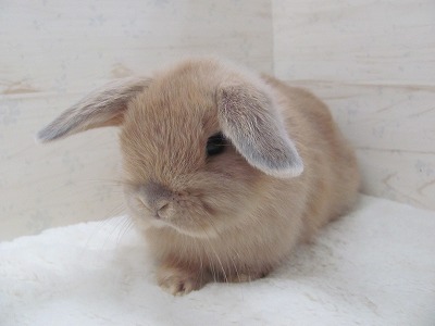 ファイル w13.jpg