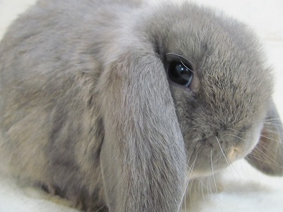 ファイル w64-2.jpg