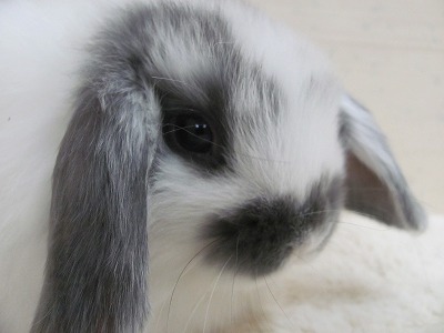 ファイル w7-2.jpg