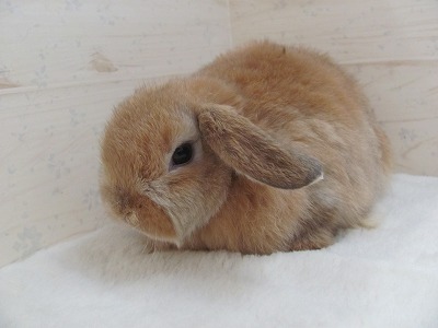 ファイル w79.jpg